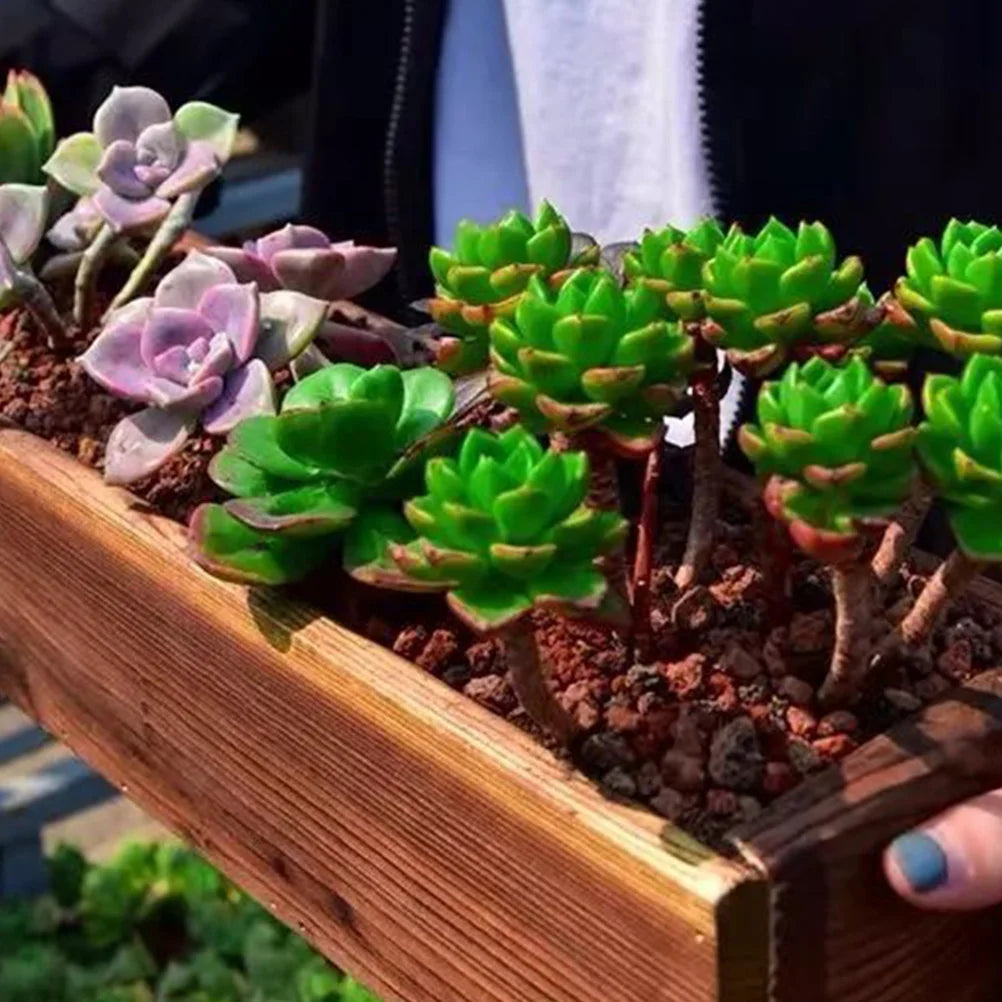 Antiseptic Cedar Flower Box
